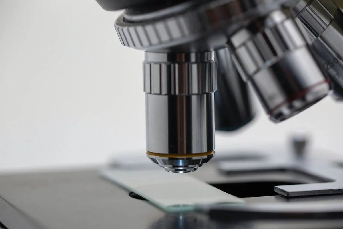 microscope optic lenses evidence-based practice and bias in nursing